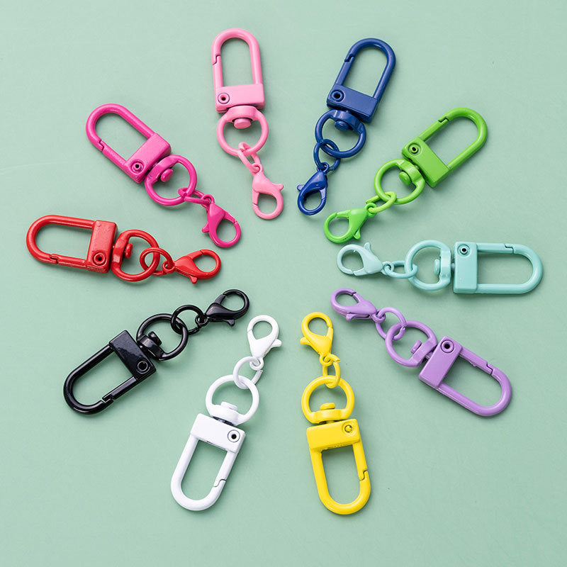Swivel Clasp Buckle Keychain with Mini Lobster Hook