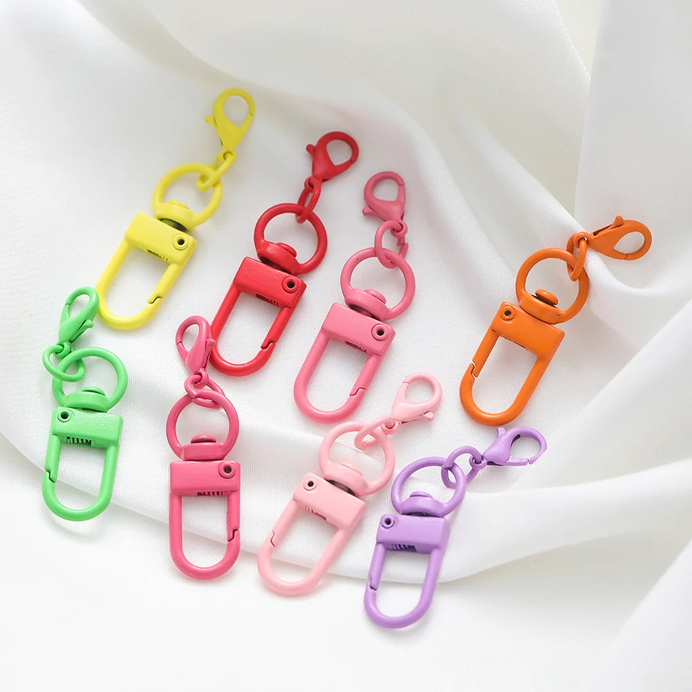 Swivel Clasp Buckle Keychain with Mini Lobster Hook