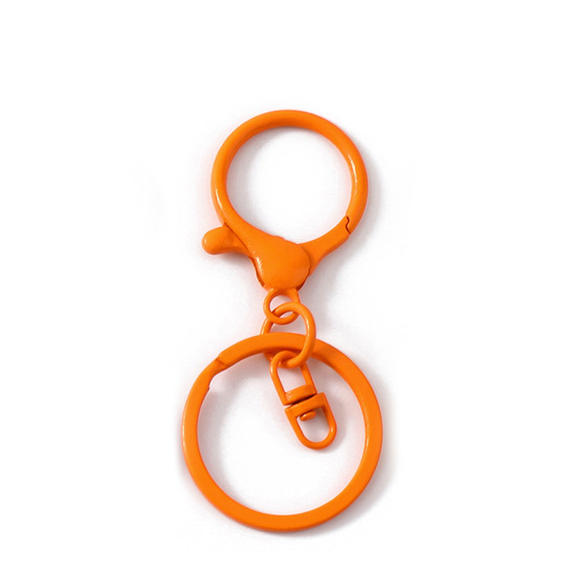 Colored Keychain Split Key Ring with Lobster Hook 30mm