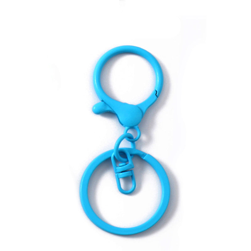 Colored Keychain Split Key Ring with Lobster Hook 30mm