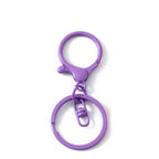 Colored Keychain Split Key Ring with Lobster Hook 30mm
