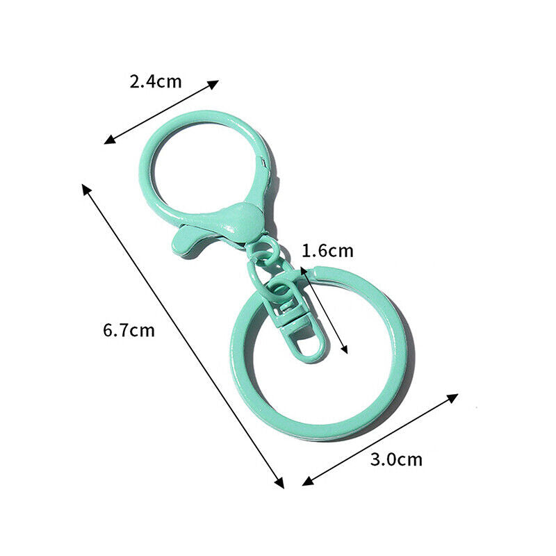 Colored Keychain Split Key Ring with Lobster Hook 30mm